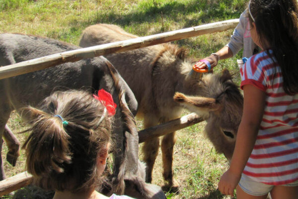 bambini di spalle che accarezzano due asinelli