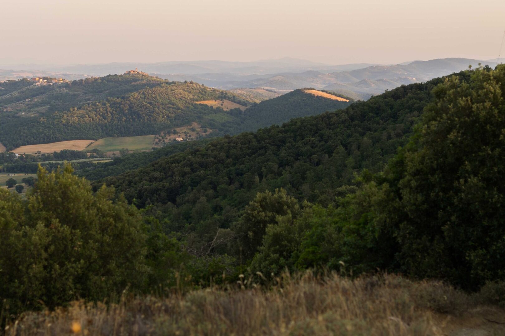 Through the woods of Mount Penna