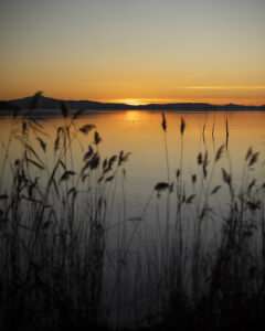 lago al tramonto visto dal canneto