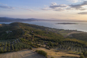 panorama con colline, olivi e boschi affacciati sul lago trasimeno e sull'isola polvese