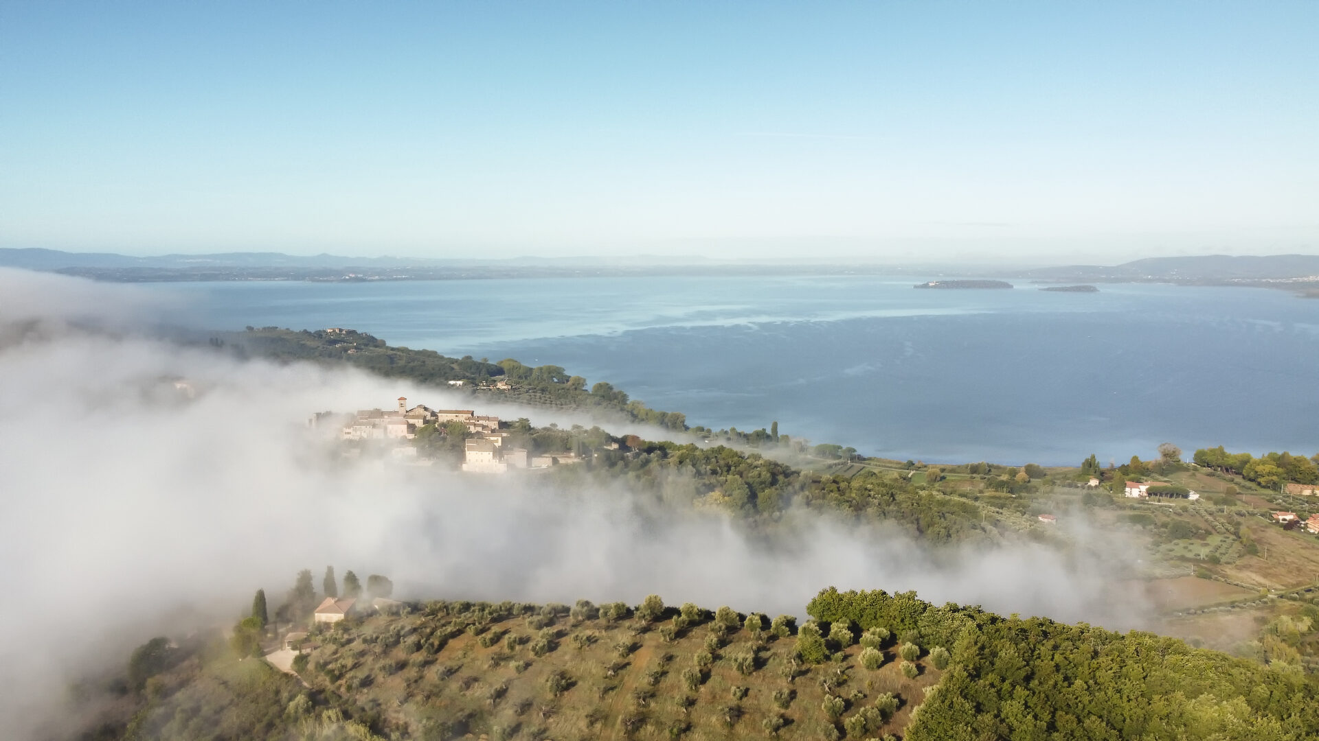 vista aerea su oliveti con nebbia e lago trasimeno