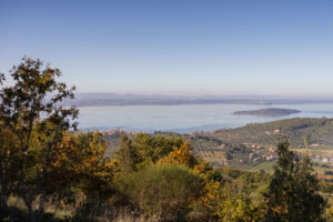 panorama con alberi, campi coltivati e lago visto dal ponte penna