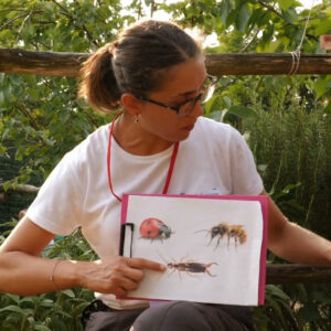 donna che mostra disegni di insetti